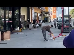 มาร่วมกันเชียร์ในปีใหม่